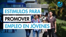 Proponen en Senado estímulos fiscales de hasta 60% para promover el primer empleo