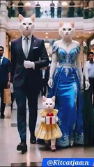 Cutest Cat Family Walking in Mall 😻🛍️  Most Adorable Kittens Explore 2025!