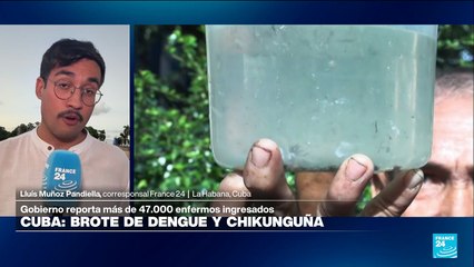 Informe desde La Habana: brote de dengue y chikungunya en Cuba