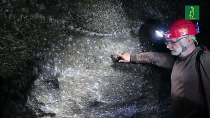 Descubren una telaraña gigante con 111,000 arañas en una gruta de Grecia