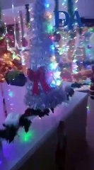 El edificio más navideño de Canarias está en Añaza