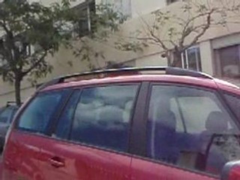 il était une fois, un chat hyérois