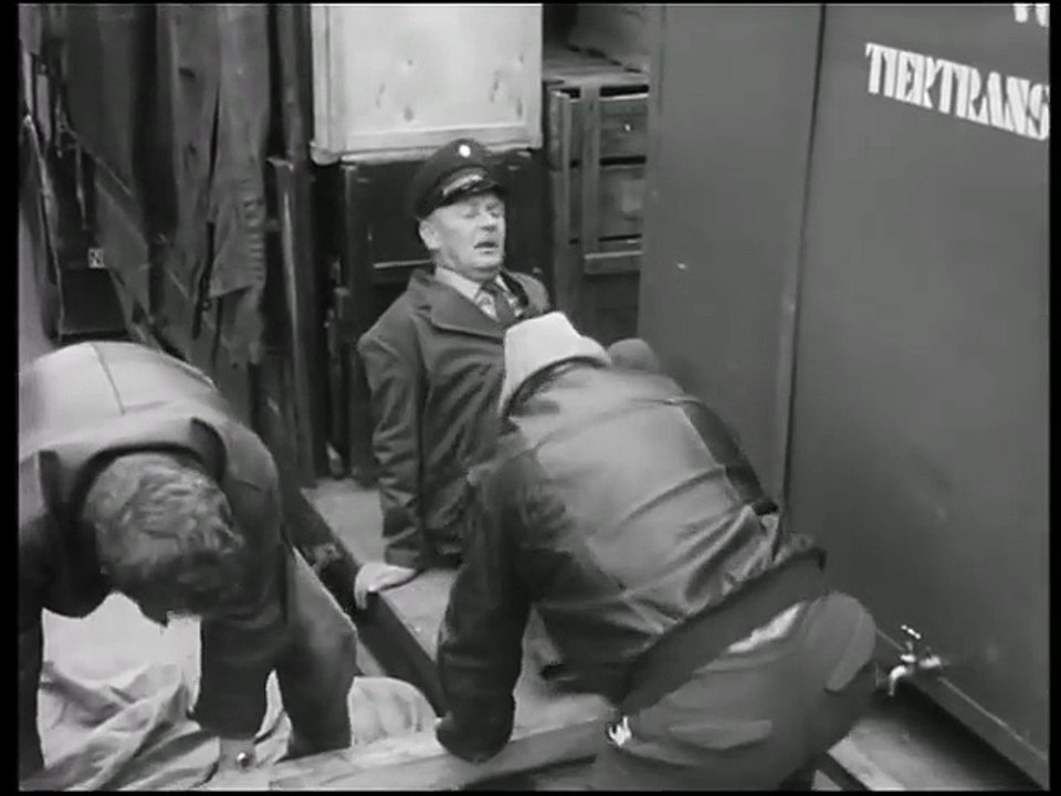 Die Fernfahrer  S02E03 - Der Wels