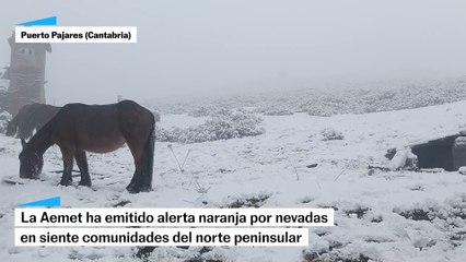 Así se han vivido las nevadas en el norte peninsular