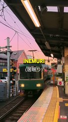 Why japanese people sleeps in train #japanese