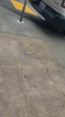 second live/work space in Project Artaud as a rental property. bod  is  complicit and enabling of these behaviors. stickers and any discussion of Airbnb topic is “the problem”, not 12 years of keeping affordable housing off the market for personal profit.