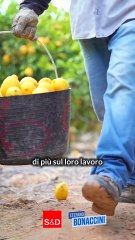 Bonaccini - Buone notizie da Bruxelles per i nostri agricoltori! 😀🚜 (20.10.25)