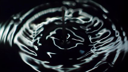 INVRAISEMBLANCES - Alone