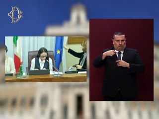 Roma - Audizione Alsalem, Onu (italiano) (20.11.25)