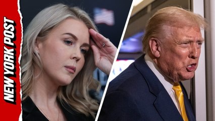 Press Sec. Karoline Leavitt explains why Trump called reporter 'Piggy'