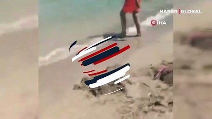 Plajda yılan paniği kamerada!