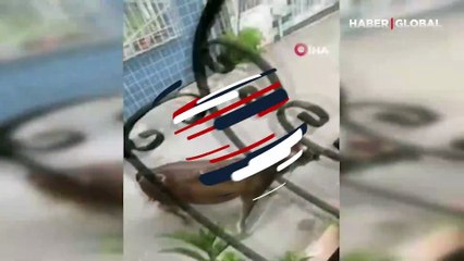 Kurbanlıklar vatandaşlara zor anlar yaşattı! İşte o anlar