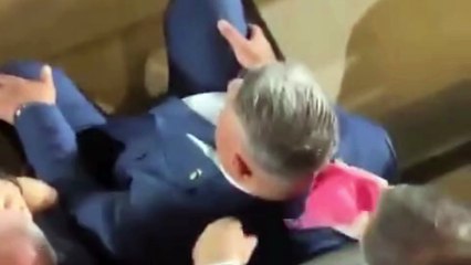 diseno sin titulo (1).mp4