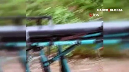 Trabzon'da feci kaza: İneği ile birlikte uçuruma yuvarlanan kadın can verdi