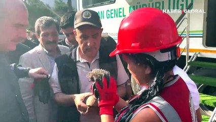 Marmaris'teki yangında mahsur kalan kirpi ve kaplumbağayı hayvanseverler kurtardı