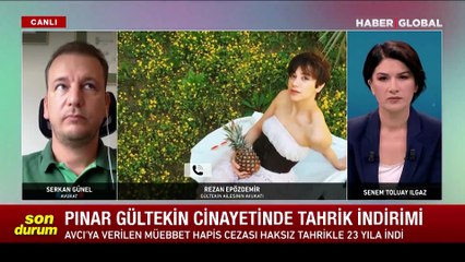 Pınar Gültekin ailesinin avukatı Rezan Epözdemir: Yazıklar olsun