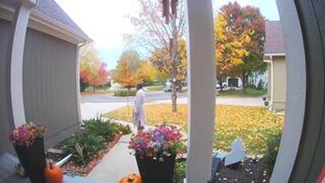 Woman Takes Tumble as Her Dog Runs Excitedly Into Her