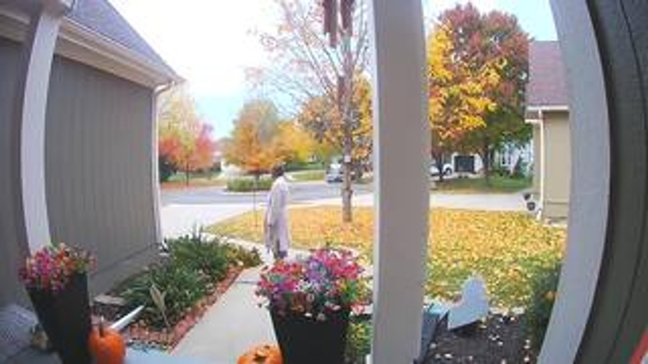 Woman Takes Tumble as Her Dog Runs Excitedly Into Her