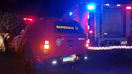 Idoso perde o controle da direção, sai da pista e bate em árvore na BR-369 em Cascavel