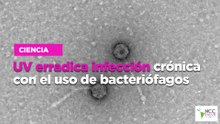 UV erradica infección crónica con el uso de bacteriófagos