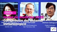 Nobel de medicina 2025 a la compresión del sistema inmunológico