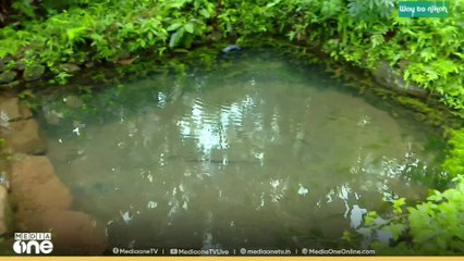 ഈ വർഷം മാത്രം അമീബിക് മസ്തിഷ്ക ജ്വരം ബാധിച്ചത് 170 പേർക്ക്; മരണം 41- കണക്ക്