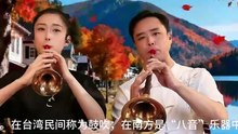 刻在 DNA 里的旋律！老电影《青松岭》经典插曲，越听越上头