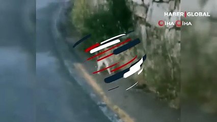 Yılanın kaçış çabası sonuç vermedi, kediye teslim oldu