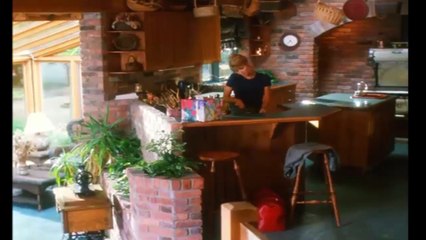 1995 Visitors Of The Night HOT MOVIE