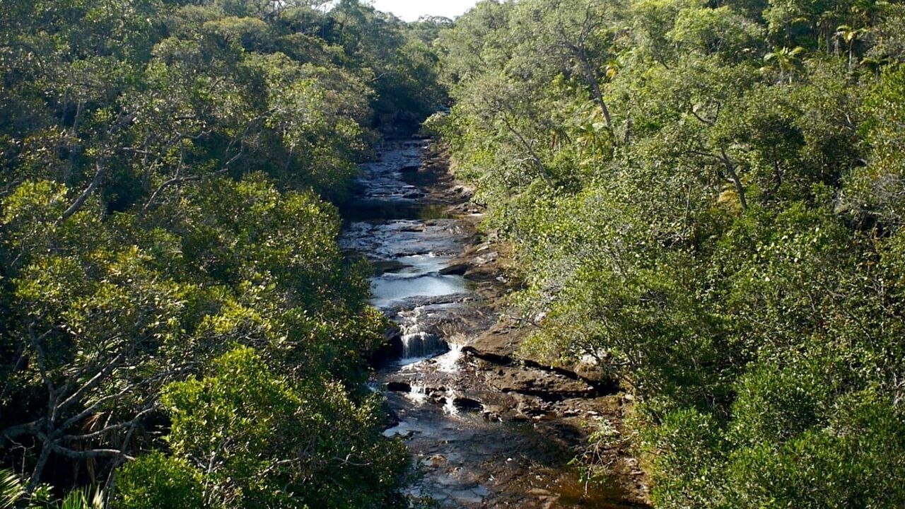 Rivière rouge