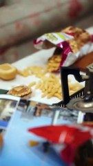 Alphas' Forbidden Hunger- One Fated Mate Beyond Time