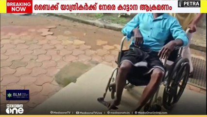കോതമംഗലത്ത് ബൈക്ക് യാത്രികർക്ക് നേരെ കാട്ടാന ആക്രമണം