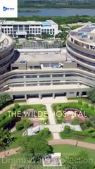 [TOP MOVIE] Ms. Doctor and Her Hidden Billionaire Husband #dramawave #Shortstudio