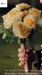 [TOP MOVIE] Reuniting With An Old Flame #snaxbox #moboreel #Shortstudio