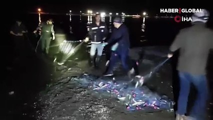 Van’da inci kefali operasyonu