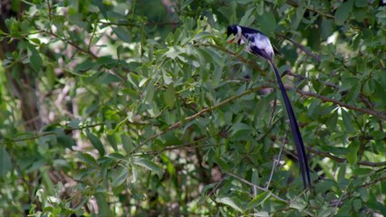 Africas Wild Horizons: Series 1_Vredefort Dome Crater of Life