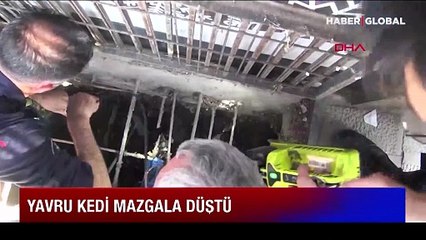 Mazgala düşen yavru kedi kurtarıldı
