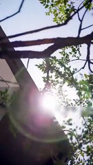 Ruthless CEO who rejects all women flash-married ordinary blind-date girl, not know she’s top killer