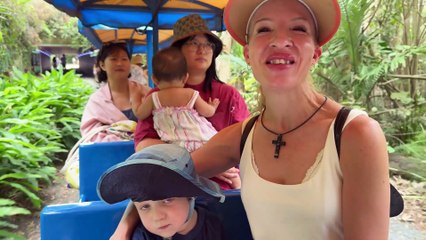 Currumbin Wildlife Sanctuary (Gold Coast): Family Day Out with Koalas, Train & Animal Hospital VLOG