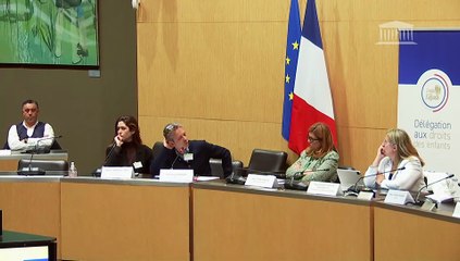 Délégation aux droits des enfants : Régulation numérique pour les mineurs : quelles synergies entre l’Europe et les initiatives nationales ? - Jeudi 20 novembre 2025