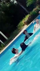 late forgiveness chinese drama💖(telegram@linkeex)