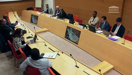 Délégation aux outre-mer : Audition de spécialistes de l’économie des outre-mer dans l’optique de la préparation de l’examen du projet de loi contre la vie chère dans les outre-mer - Jeudi 20 novembre 2025