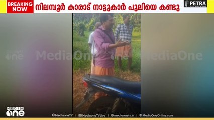 പുലിയെ കണ്ടത് ടാപ്പിങ്ങിന് പോയ തൊഴിലാളികൾ...; പുലി പേടിയിൽ കാരാട്