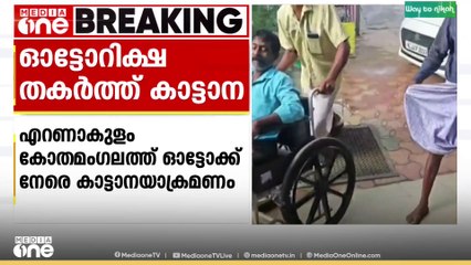 കോതമംഗലത്ത് ഓട്ടോറിക്ഷക്ക് നേരെ കാട്ടാന ആക്രമണം; ആനക്കൂട്ടം വണ്ടി പൂർണമായി നശിപ്പിച്ചു