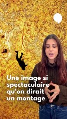 L'histoire derrière la photo de l'homme qui tombe devant le Soleil