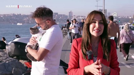 Motosikletli kedi Gofret,  İstanbul’un sokaklarında tur atıyor