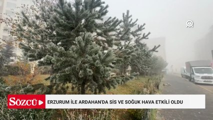 İki şehri sis kapladı