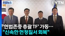 '헌법존중 총괄 TF' 가동...