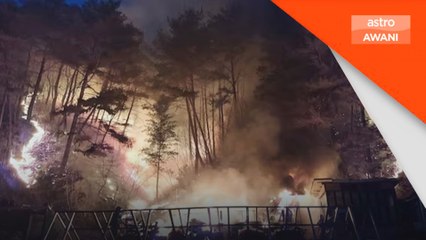 PM Korea Selatan arah pemindahan segera susulan kebakaran hutan