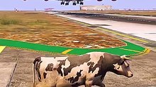 During The Landing of The Plane, A Cow Emerged | Grand Theft Auto V ||